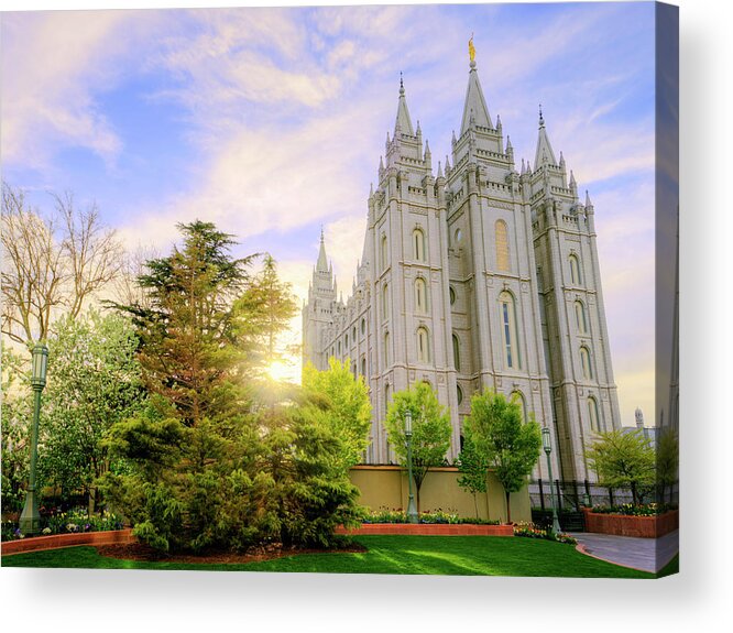 Salt Lake Acrylic Print featuring the photograph Spring Rest by Chad Dutson
