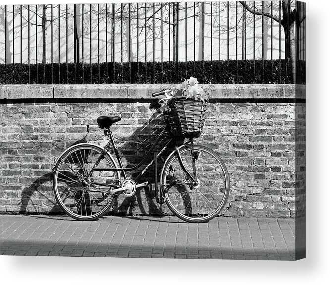 Bicycle Acrylic Print featuring the photograph Spring Sunshine and Shadows in Black and White by Gill Billington