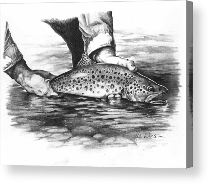 Flyfishing Acrylic Print featuring the drawing Spring thaw by Mike Worthen