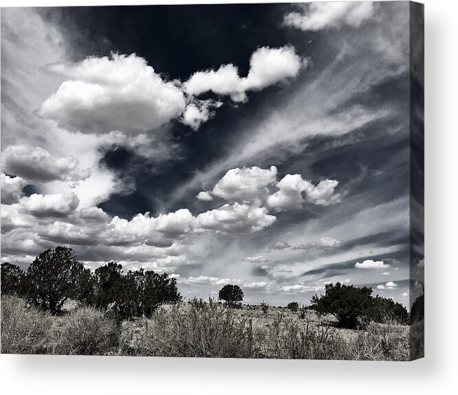 Landscapes Acrylic Print featuring the photograph Stands Alone by Brad Hodges