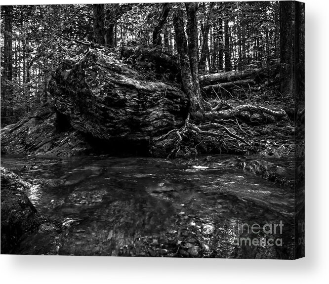 River Acrylic Print featuring the photograph Stevensville Brook in Underhill, Vermont - 1 BW by James Aiken