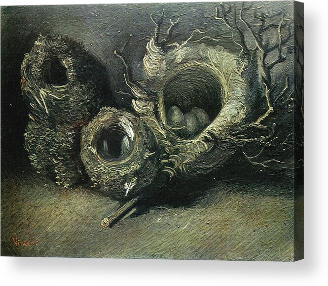 Still Life with Three Birds' Nests, 1885 Acrylic Print by Vincent