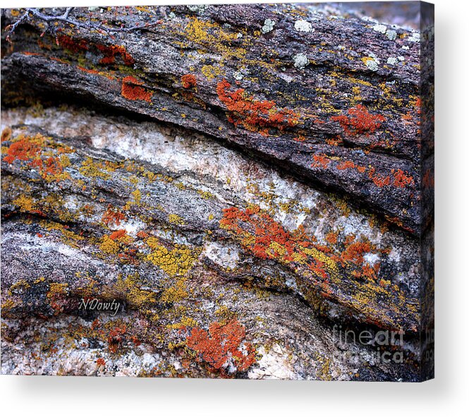 Stone And Lichen Acrylic Print featuring the photograph Stone and Lichen by Natalie Dowty