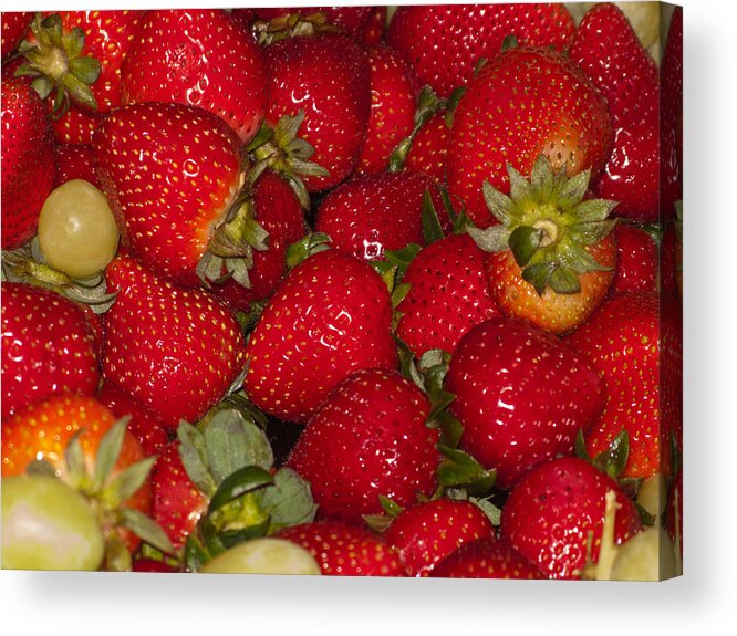 Food Acrylic Print featuring the photograph Strawberries 731 by Michael Fryd
