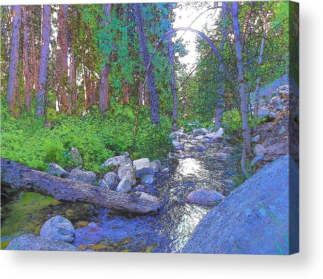 Idyllwild Acrylic Print featuring the photograph Strawberry Creek 1859 by Lisa Dunn