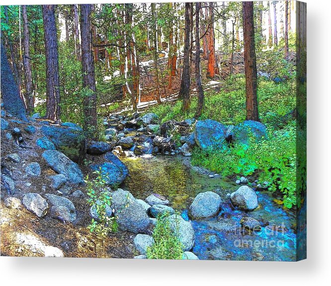Idyllwild Acrylic Print featuring the photograph Strawberry Creek 1884 by Lisa Dunn