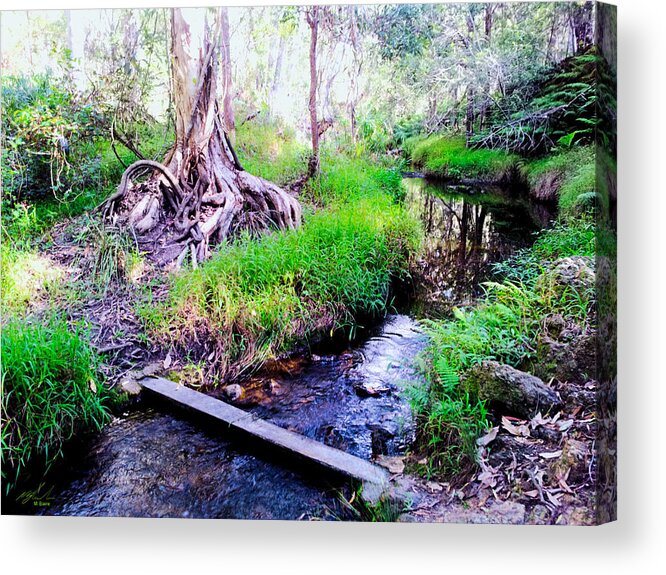 Landscape Acrylic Print featuring the photograph Stream Crossing by Michael Blaine