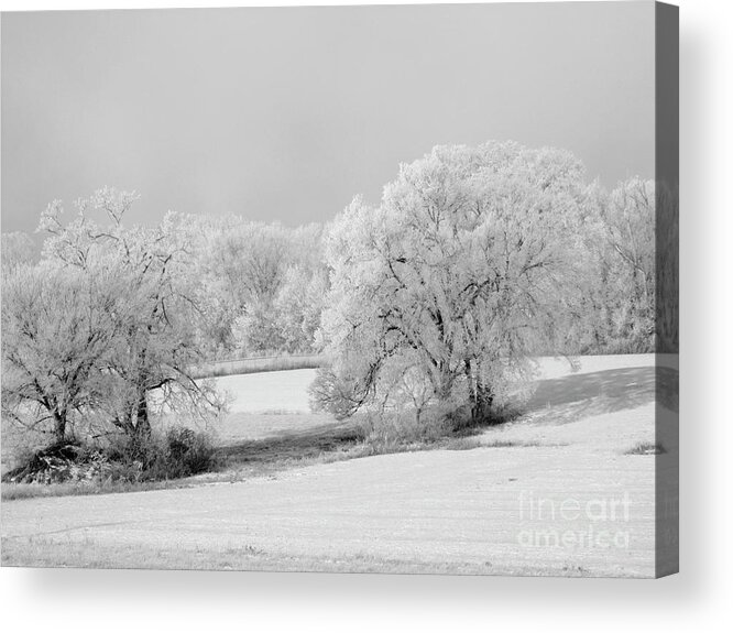 Winter Acrylic Print featuring the photograph Stronger by Melissa Mim Rieman