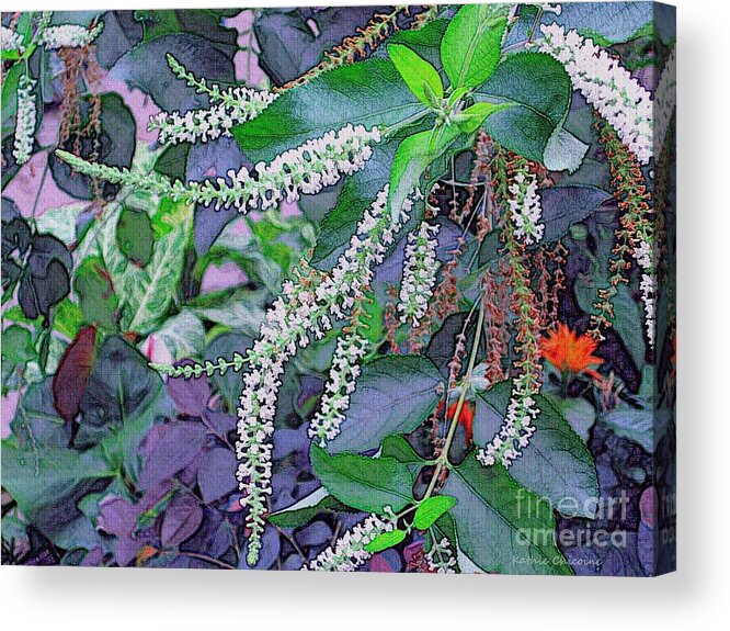 Photography Acrylic Print featuring the photograph Summer White by Kathie Chicoine