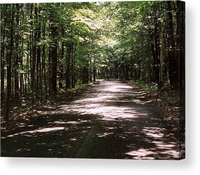 Landscape Acrylic Print featuring the photograph Sun and Shadow Road in Summer C3PDL by Lyle Crump