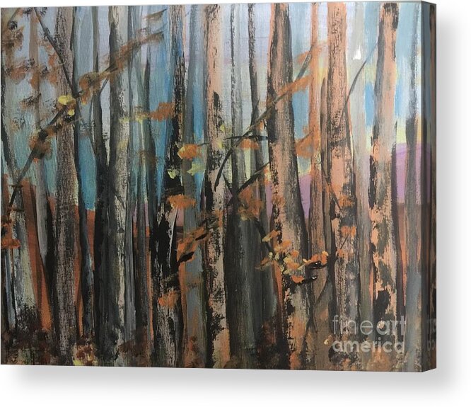 Forests Acrylic Print featuring the painting Sun Drenched by Trilby Cole