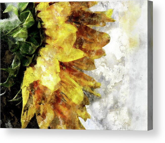 Sunflower Acrylic Print featuring the digital art Sunny Emotions by Art Di