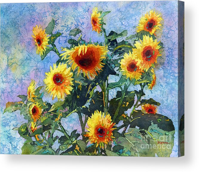 Sunflower Acrylic Print featuring the painting Sunny Sundance by Hailey E Herrera