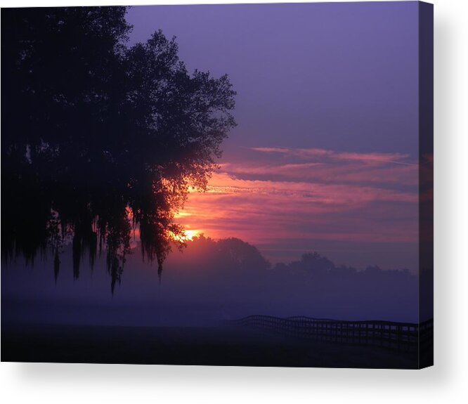 Sunrise And Fog Acrylic Print featuring the photograph Sunrise and Fog by Warren Thompson