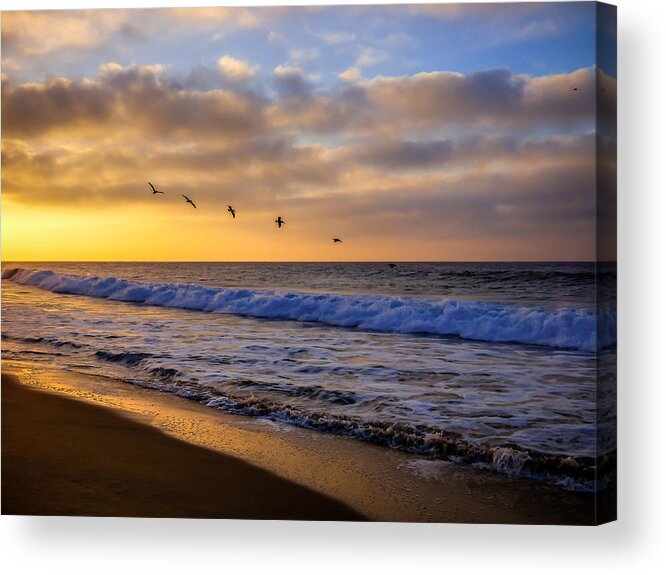 Newport Beach Acrylic Print featuring the photograph Sunrise Flight by Pamela Newcomb