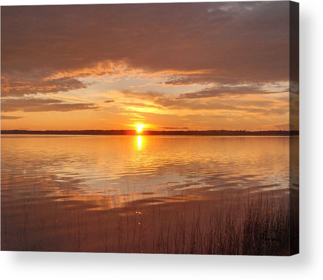 Lake Water Shore Reeds Beach Sunset Sky Acrylic Print featuring the photograph Sunset by Andrea Lawrence