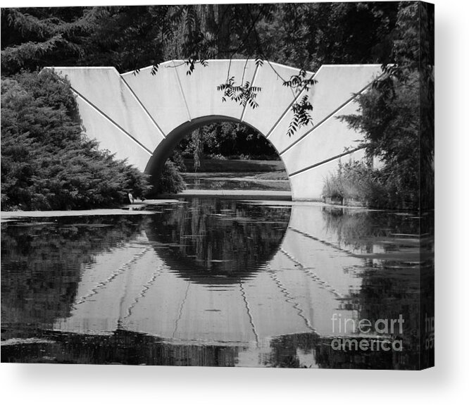 Dow Gardens Acrylic Print featuring the photograph Sunshine in Black and White by Erick Schmidt