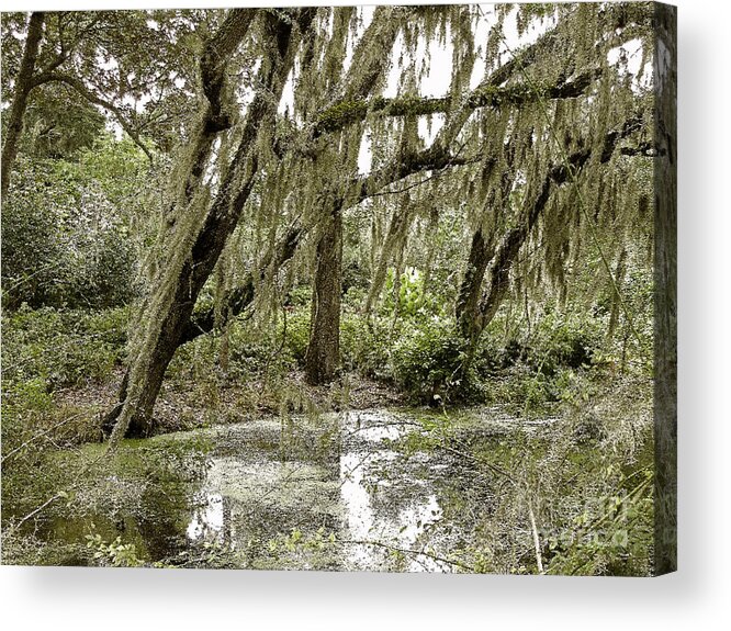  Acrylic Print featuring the photograph Swampy Patch by Lydia Holly