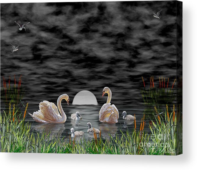 Swan Acrylic Print featuring the digital art Swan Family by Terri Mills