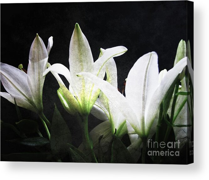  Acrylic Print featuring the photograph Symphony by Jessica S