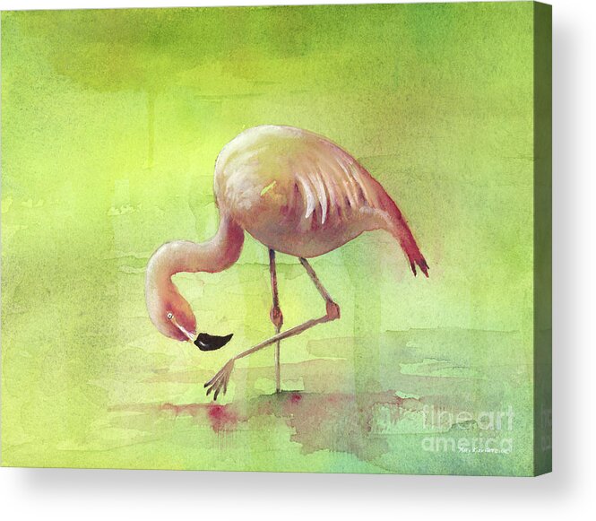 Flamingo Acrylic Print featuring the painting Take a Bow by Amy Kirkpatrick