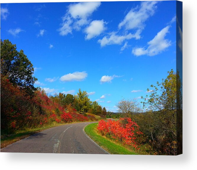 Autumn Acrylic Print featuring the photograph Tamarack Creek by Brook Burling