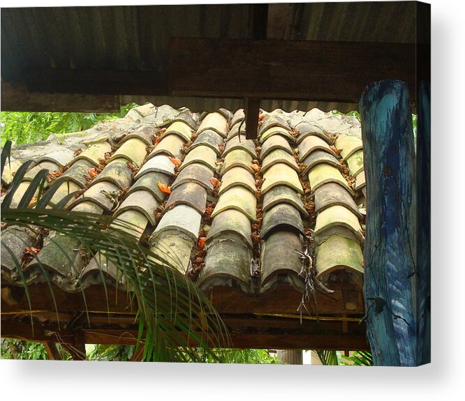 Digital Art Acrylic Print featuring the photograph Tejas by Carlos Paredes Grogan