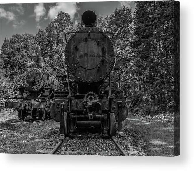 Abandoned Locomotives Acrylic Print featuring the photograph Terminus Two Monochrome by Tony Pushard