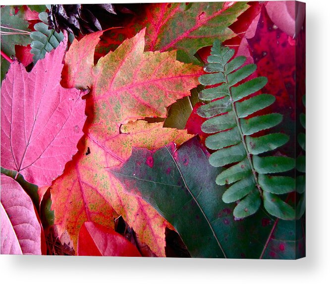 Colorful Fall Leaves Acrylic Print featuring the photograph Textures of Nature by Lori Miller
