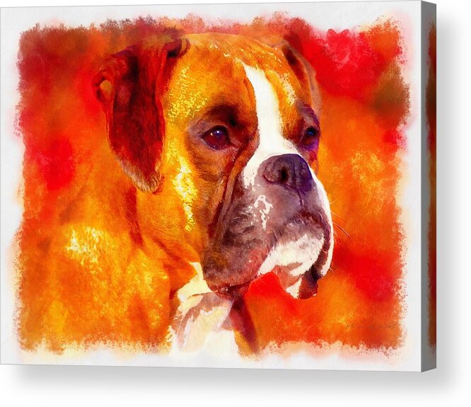 Dog Acrylic Print featuring the painting The Boxer by Maciek Froncisz