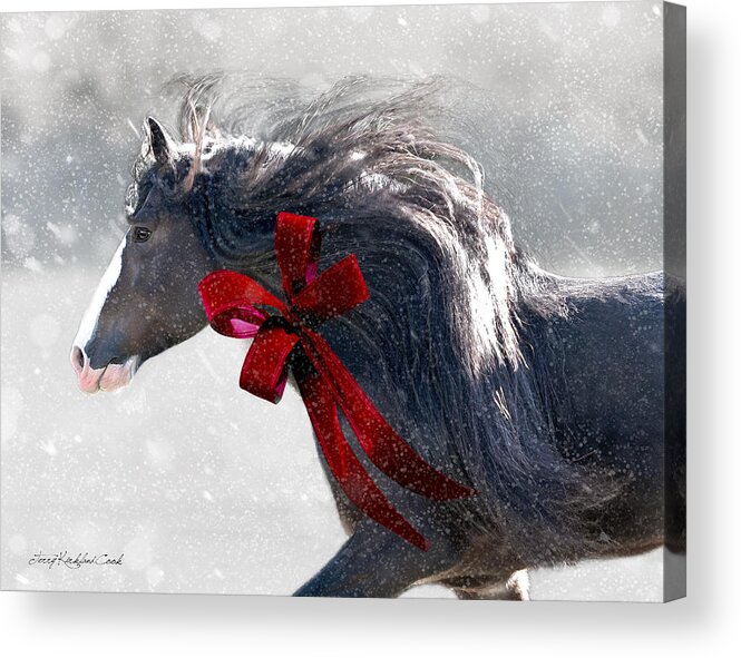 Equine Acrylic Print featuring the photograph The Christmas Beau by Terry Kirkland Cook