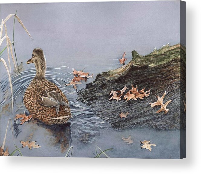 Mallard Acrylic Print featuring the painting The Duck and the Alligator by Deb Brown Maher