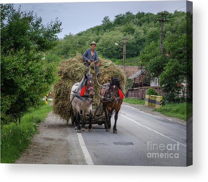 Hay Acrylic Print featuring the photograph The Hay Cart, Romania by Perry Rodriguez
