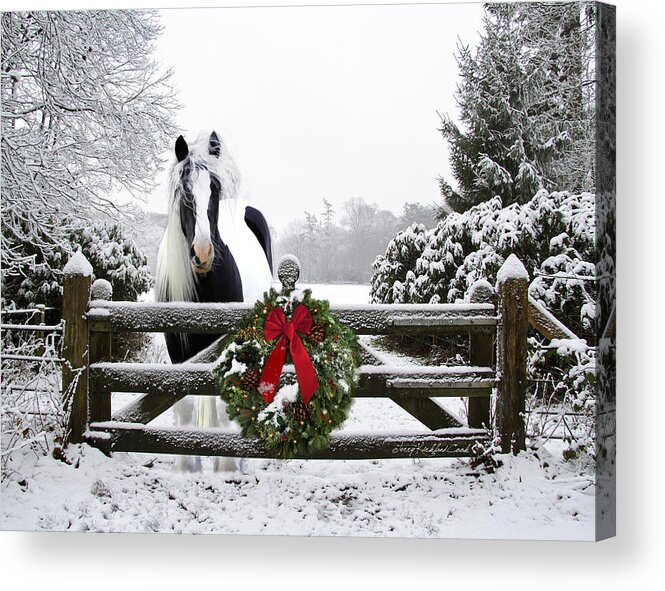 Equine Acrylic Print featuring the photograph The Perfect Christmas by Terry Kirkland Cook
