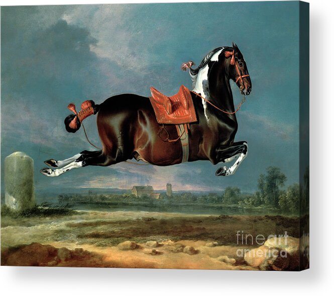 The Acrylic Print featuring the painting The piebald horse Cehero rearing by Johann Georg Hamilton