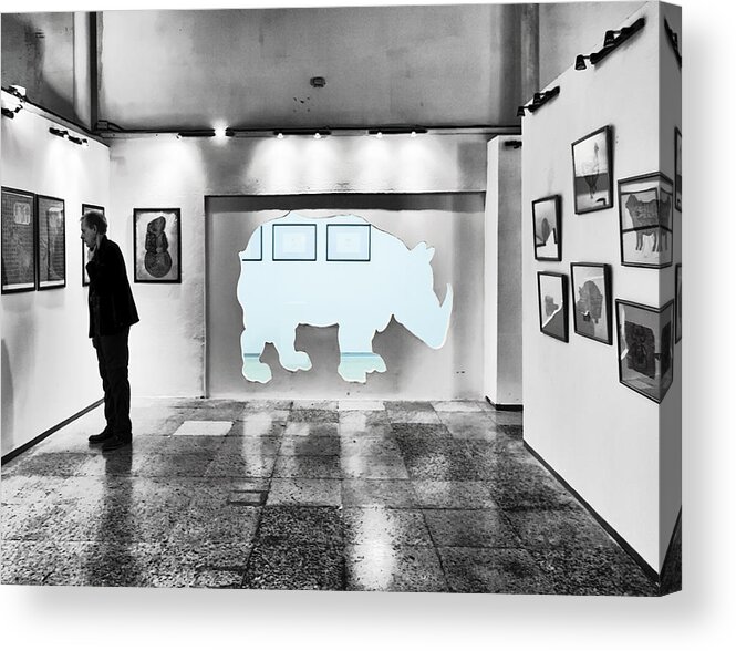 Rhino Acrylic Print featuring the photograph The Rhino in the Room by Jessica Levant