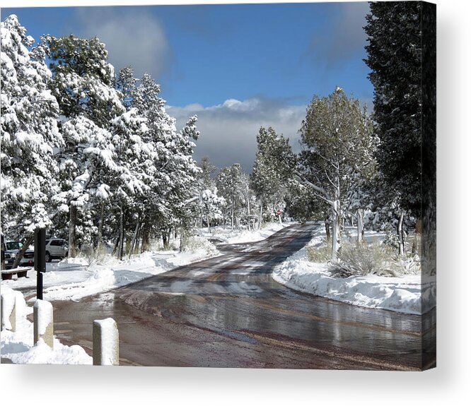 Road Acrylic Print featuring the photograph The Road through Winter by Laurel Powell