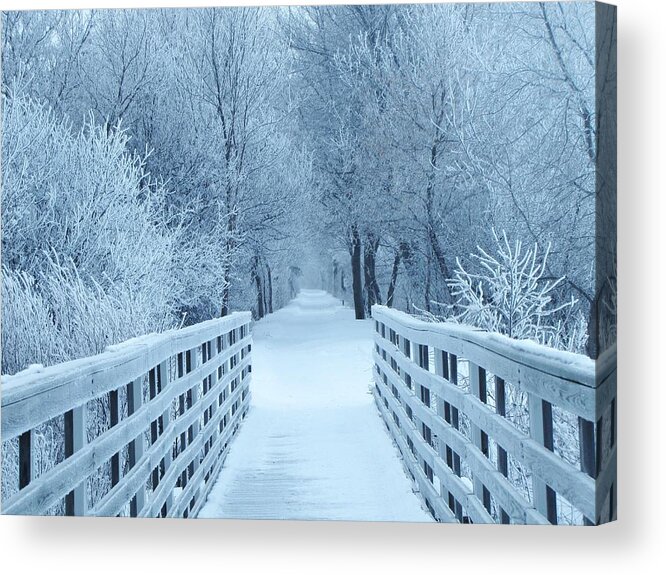 Bridges Acrylic Print featuring the photograph The Winter Bridge by Lori Frisch