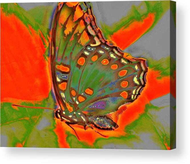 Butterfly Acrylic Print featuring the photograph Thermal Take Off by Andy Rhodes