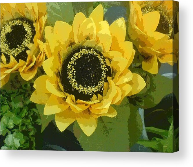 Flower Acrylic Print featuring the photograph These Flowers Aren't Shy by Andy Rhodes