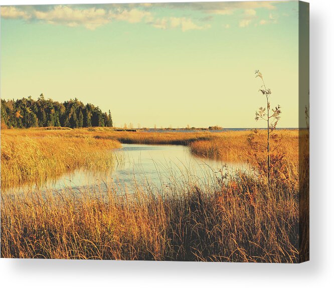 Stream Acrylic Print featuring the photograph Those Golden Days by Mary Wolf