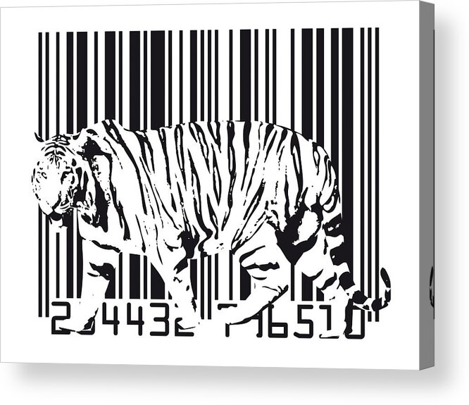 Tiger Acrylic Print featuring the digital art Tiger Barcode by Michael Tompsett