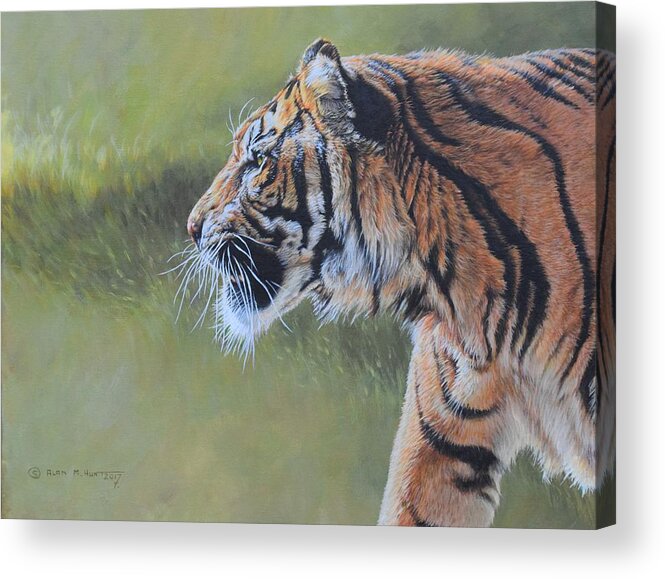 Tiger Acrylic Print featuring the painting Tiger Portrait by Alan M Hunt