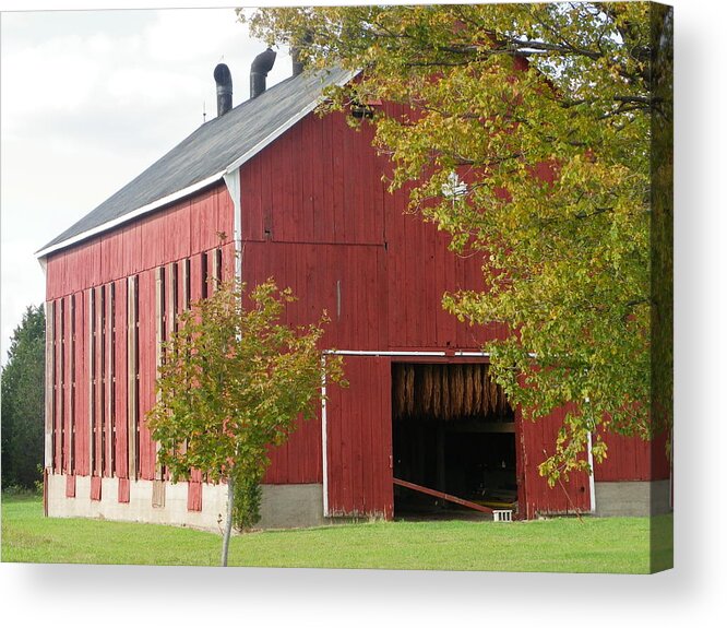 Tobacco Acrylic Print featuring the photograph Tobacco Barn by Peggy King