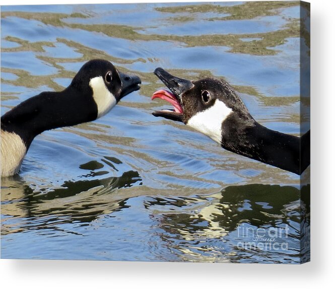 Tongue Acrylic Print featuring the photograph Talking Tongue by Jennie Breeze
