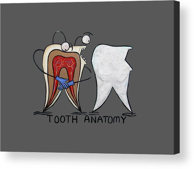 Tooth Anatomy T-shirt Acrylic Print featuring the painting Tooth Anatomy T-Shirt by Anthony Falbo