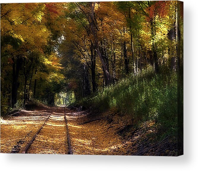 Autumn Acrylic Print featuring the photograph Tracks To Autumn by Ross Powell