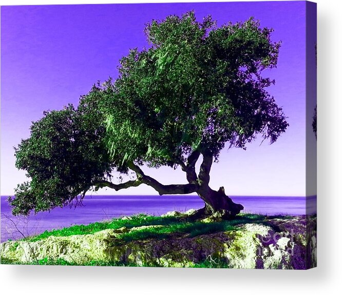 Tree Acrylic Print featuring the photograph Tree of Life - 2 by Tap On Photo