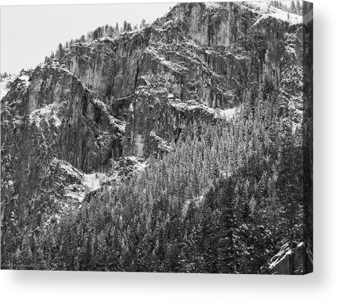Yosemite Acrylic Print featuring the photograph Treefall by Lora Lee Chapman