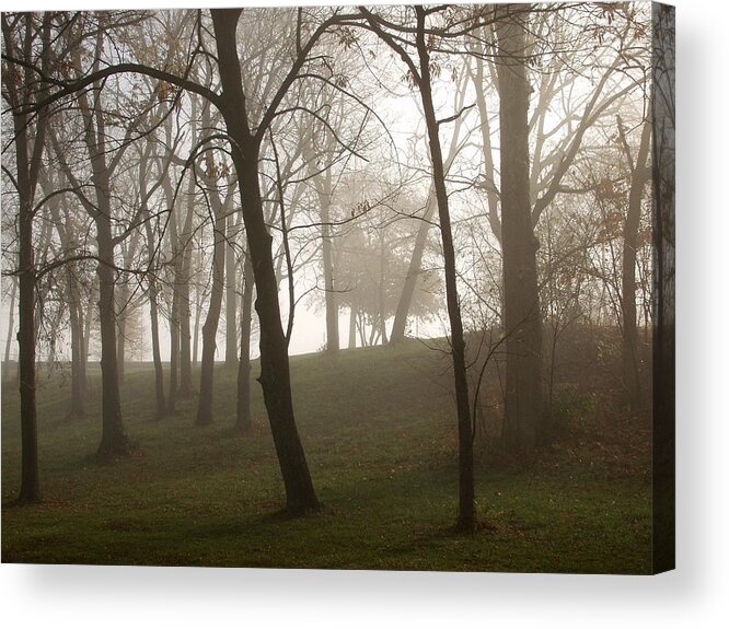 Nature Acrylic Print featuring the photograph Trees in Fog by Carol Sweetwood